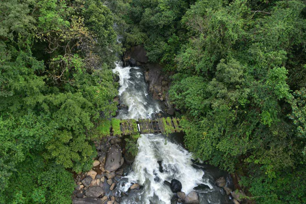 Kalasa