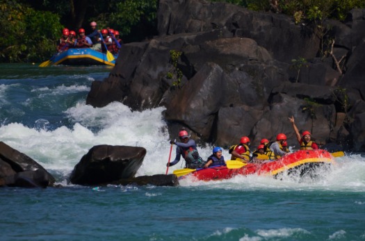 Dandeli